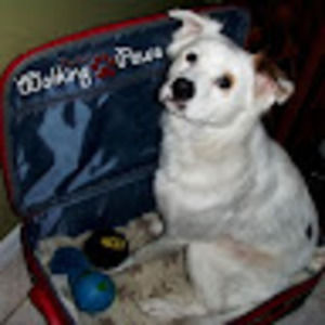 Meet your Posher, Fernanda